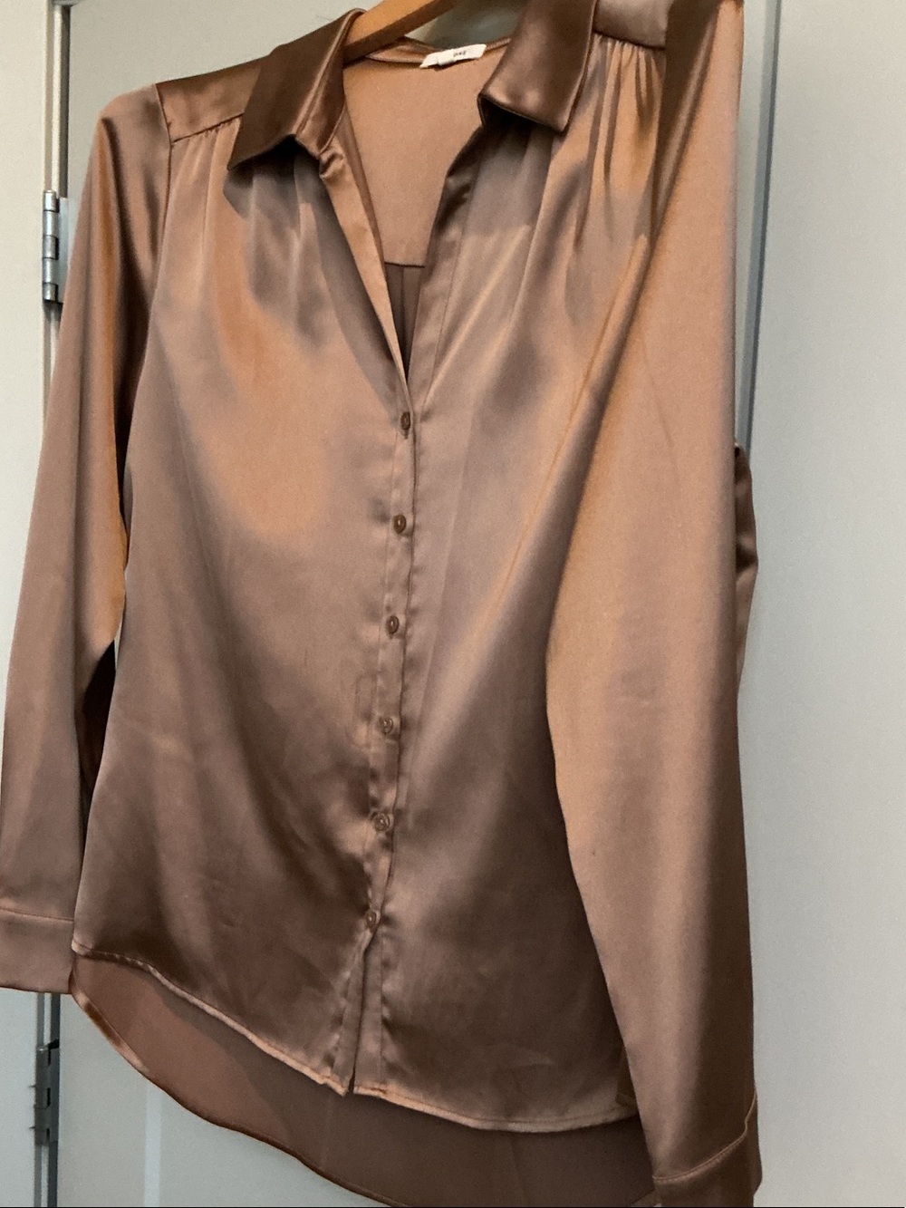 Pleione Satin Button-Down Shirt in Brown